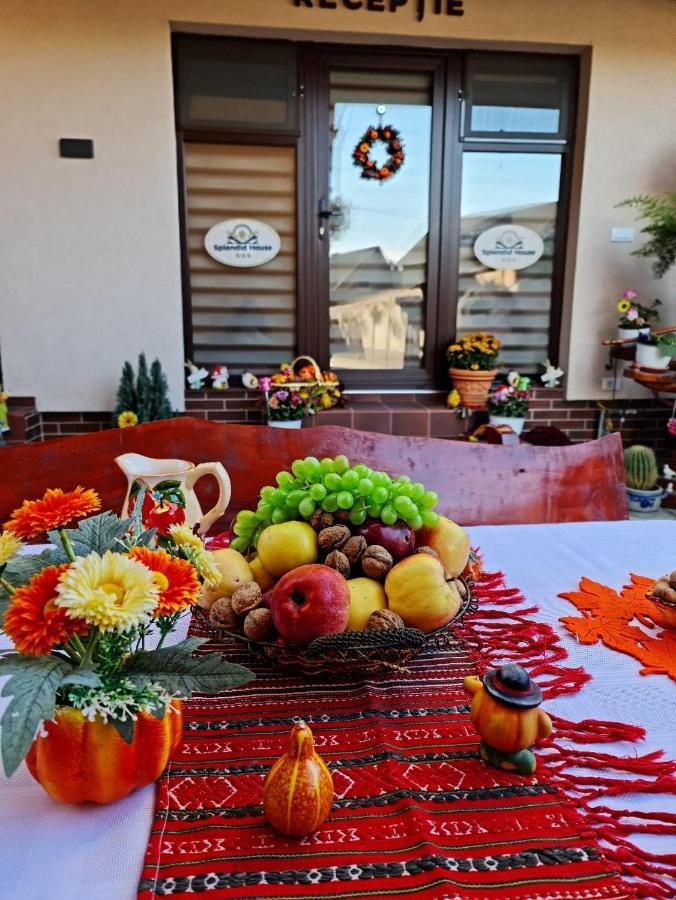 Splendid House Hotel Fagaras Exterior photo